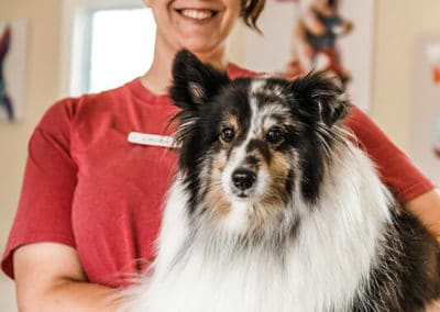 dog at daycare nashville tn