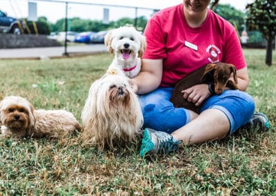 dogs at daycare nashville tn