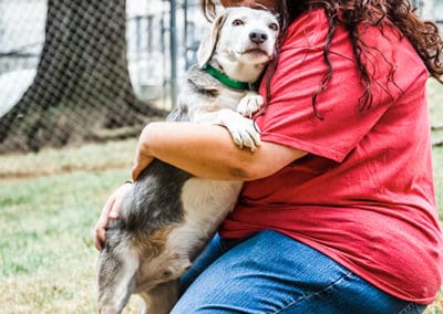 dog at daycare nashville tn