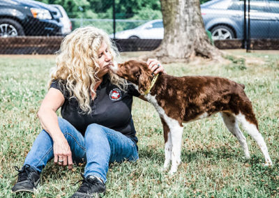 dog at daycare nashville tn