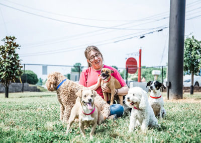 dogs at daycare nashville tn