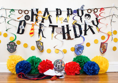 Harry-Potter-Birthday-Party-Theme-Miss-Kittys-Dog-Resort-Nashville