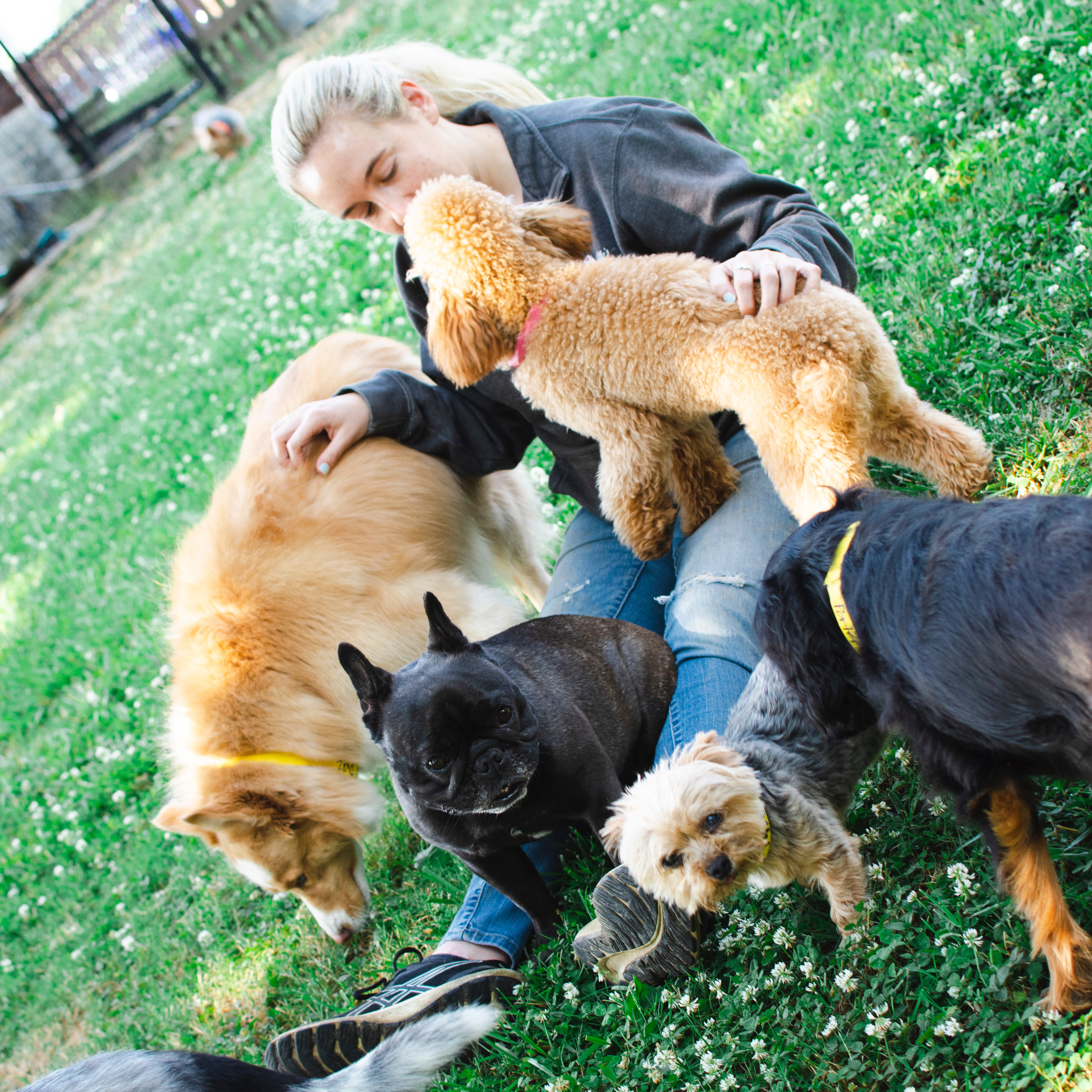 cameo-huggins-miss-kittys-dog-resort-co-manager-with-dog-iris